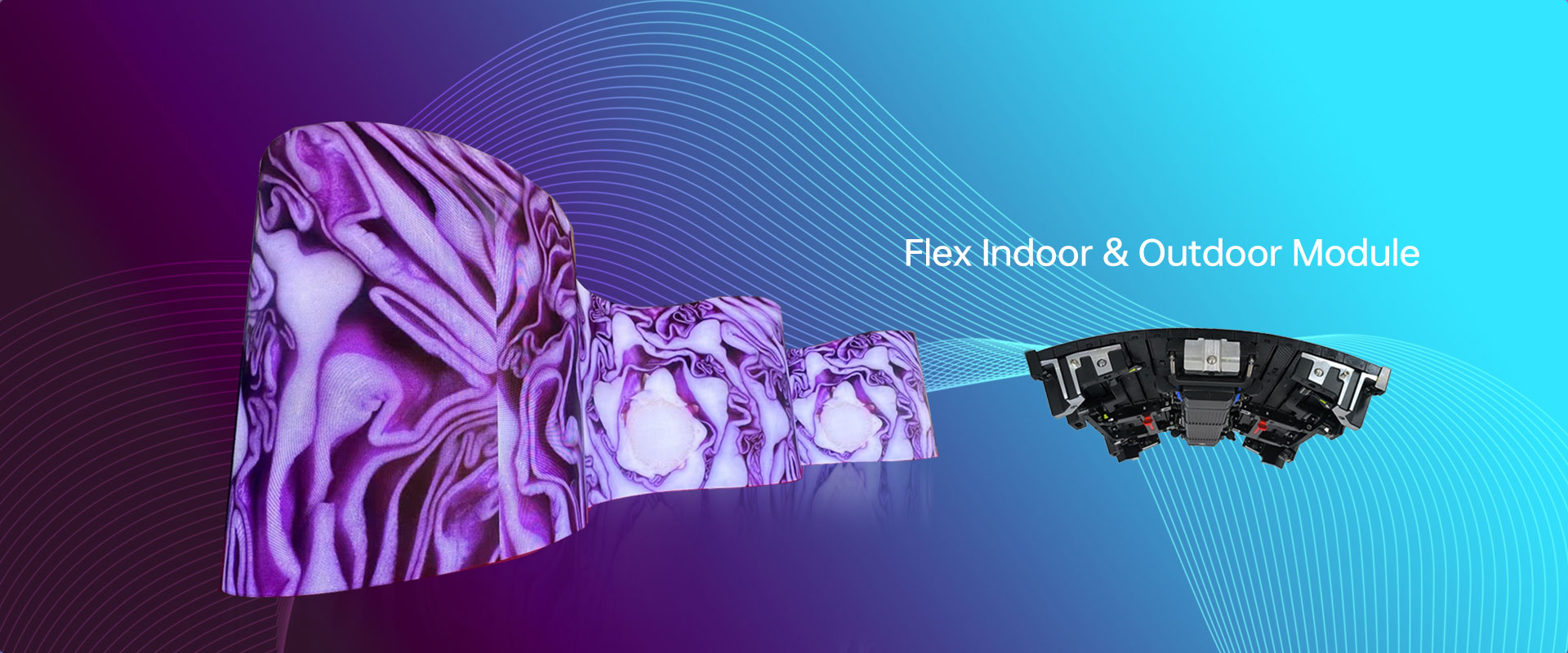 Shenzhen Belight Technology Co., Ltd.